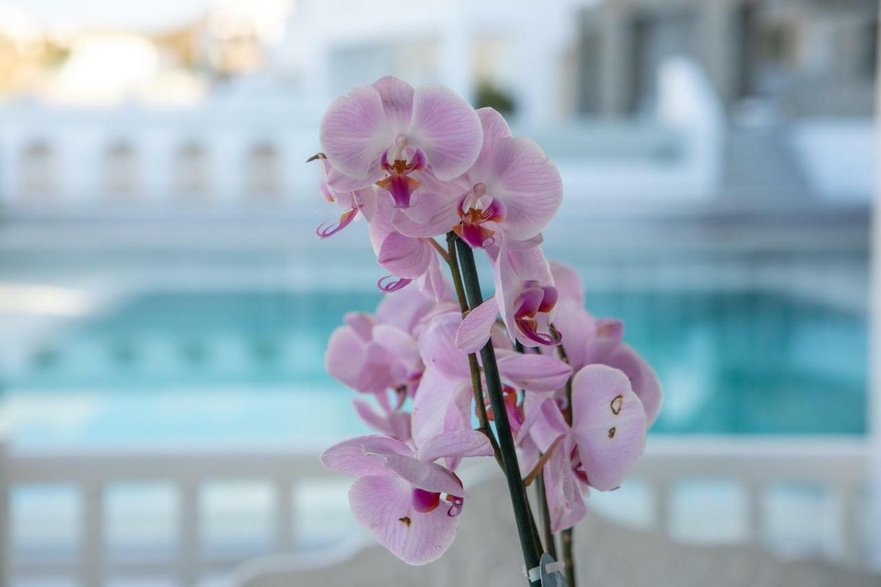 The George Hotel Mykonos Platys Gialos  Eksteriør billede